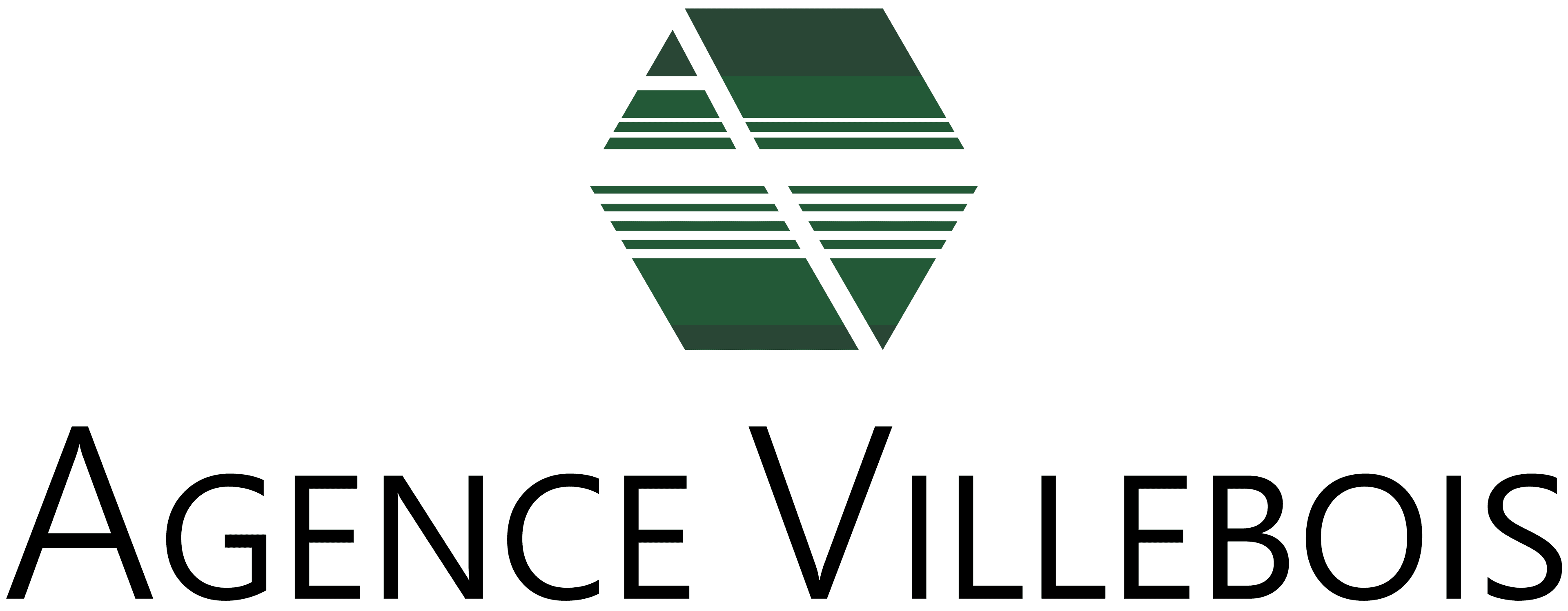 Logo de l'entreprise AGENCE VILLEBOIS