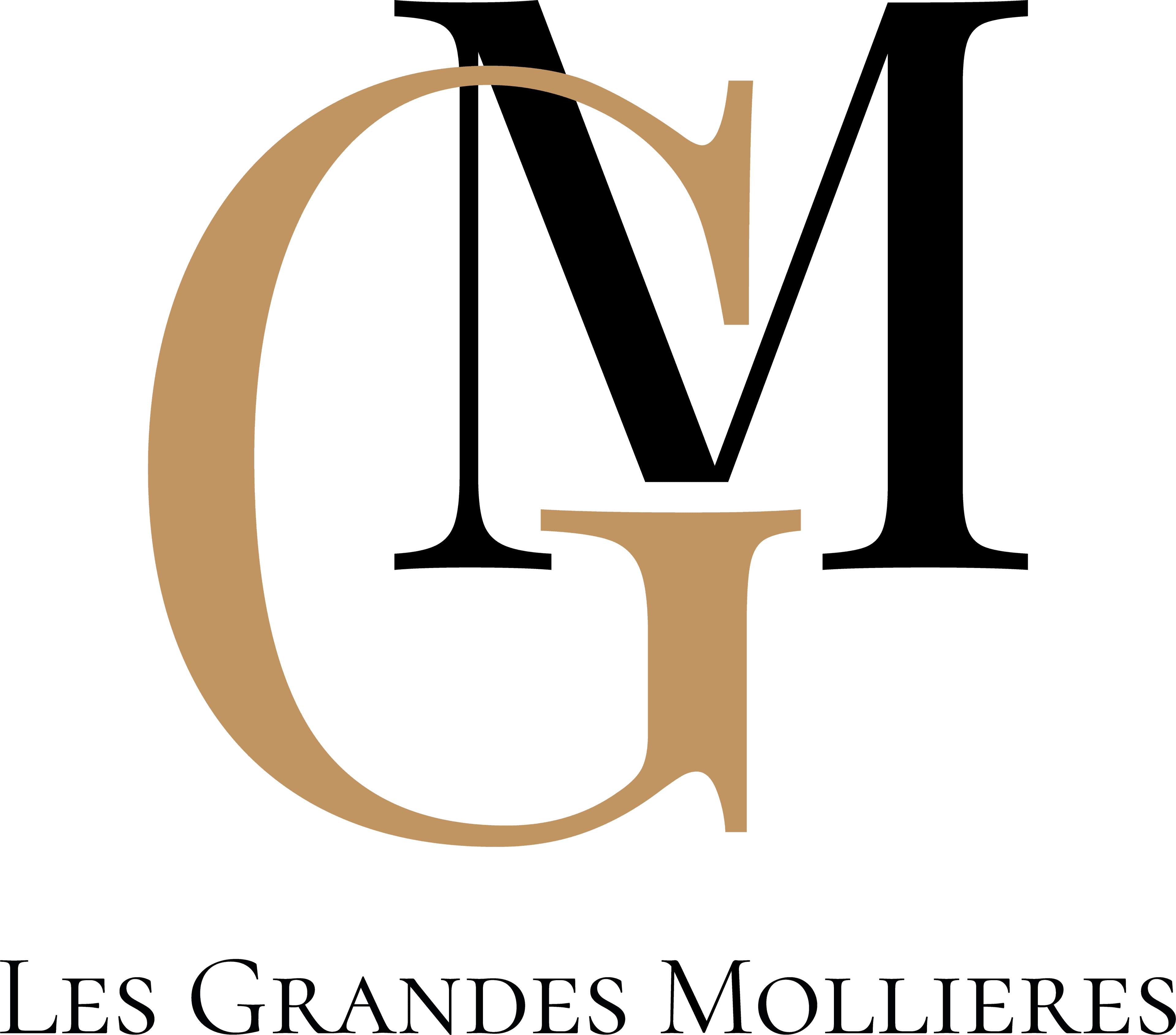 Logo de l'entreprise EROS