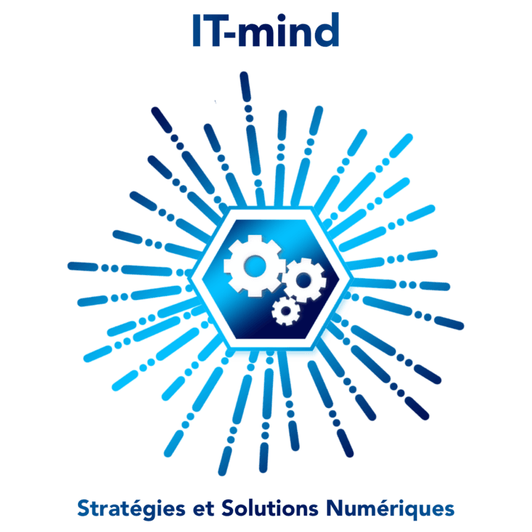 Logo de l'entreprise IT-MIND