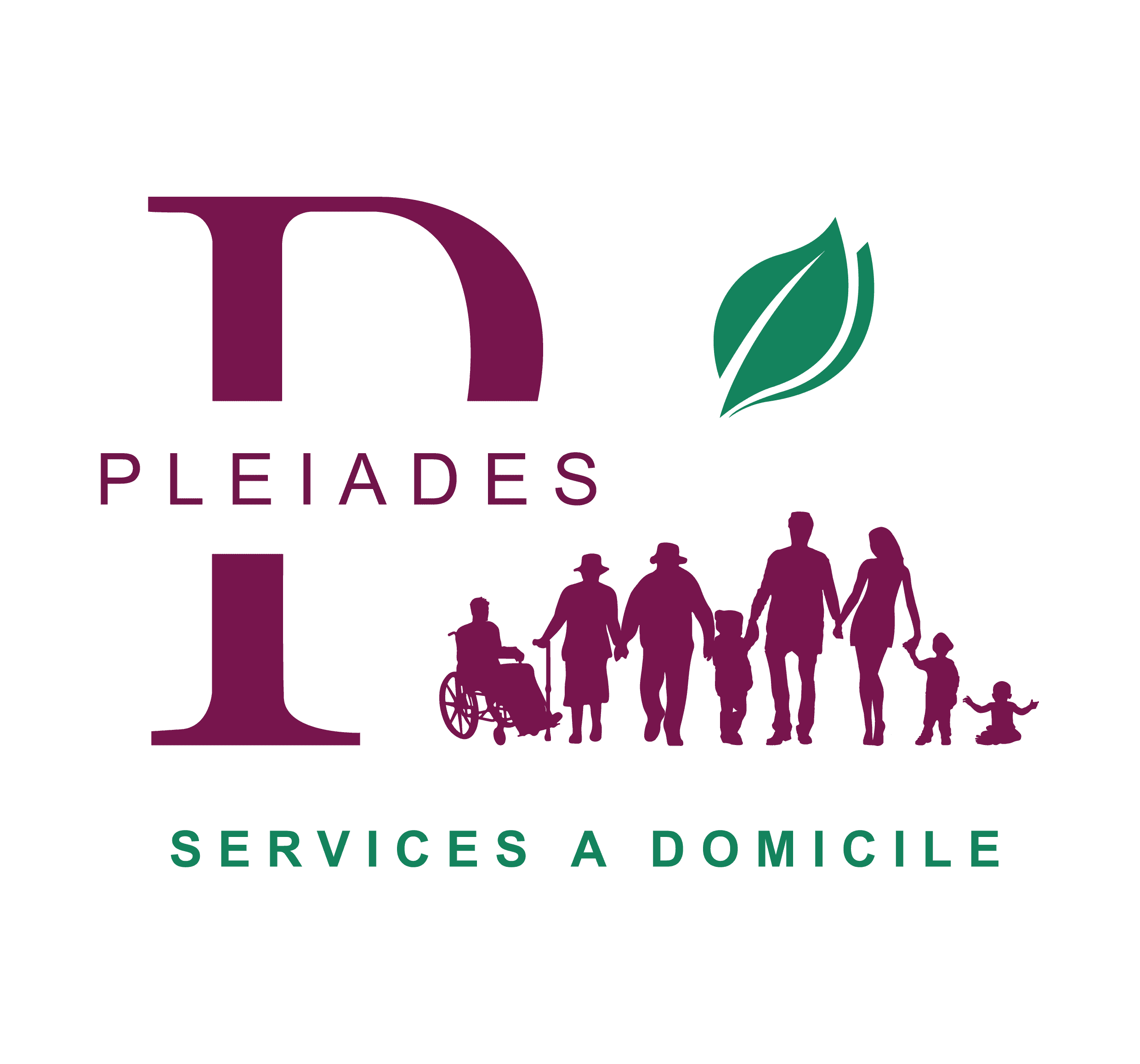 Logo de l'entreprise PLEIADES