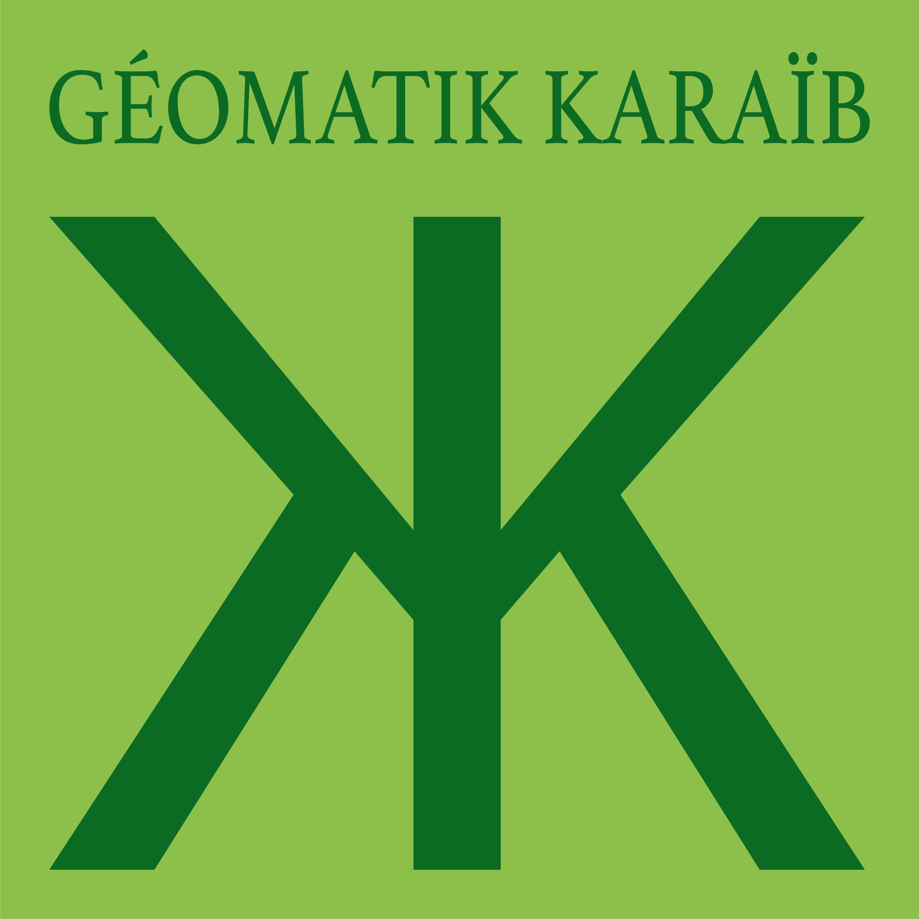 Logo de l'entreprise GEOMATIK KARAIB