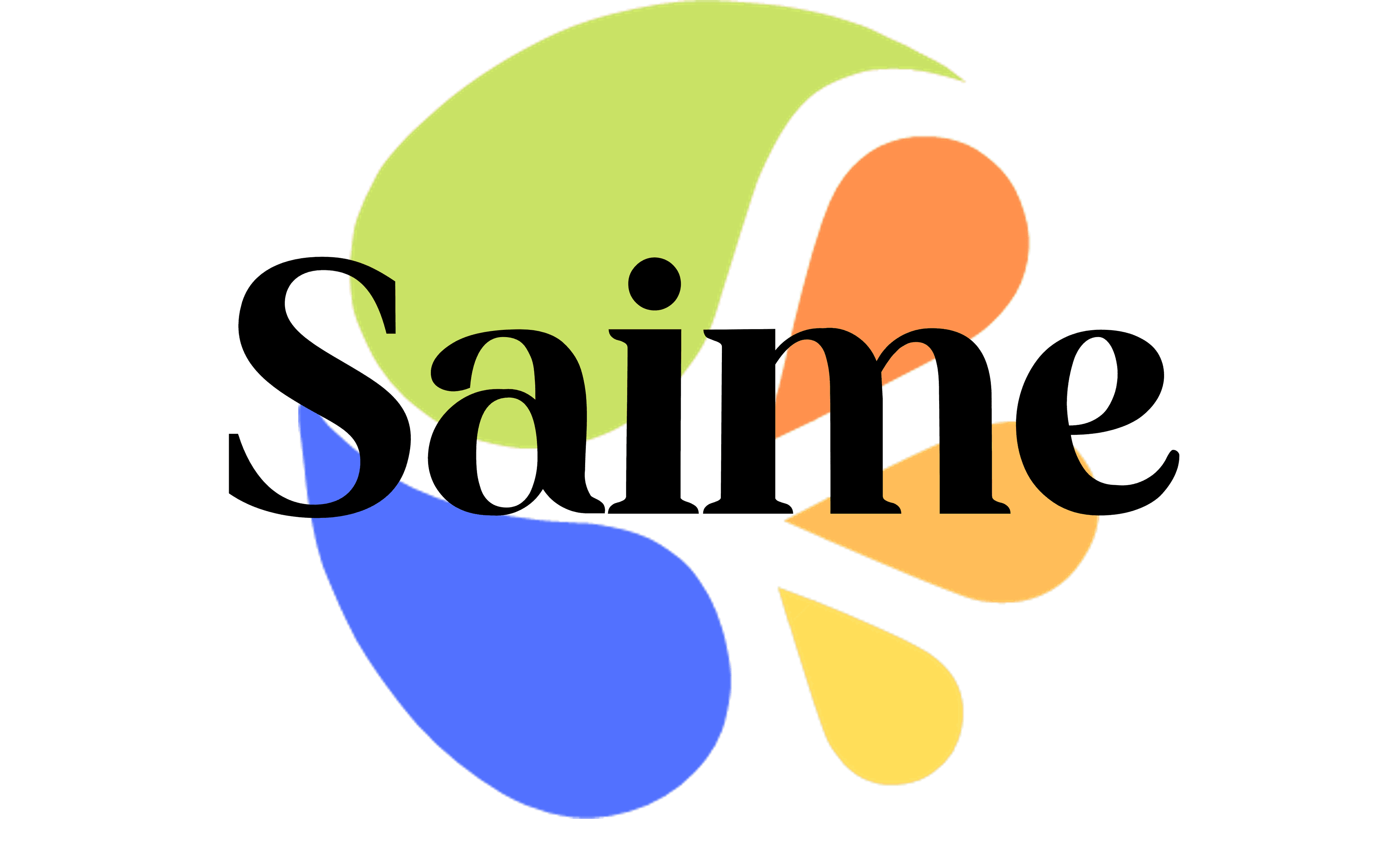 Logo de l'entreprise SAIME