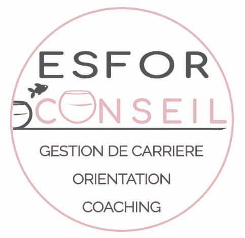 Logo de l'entreprise ESFOR CONSEIL