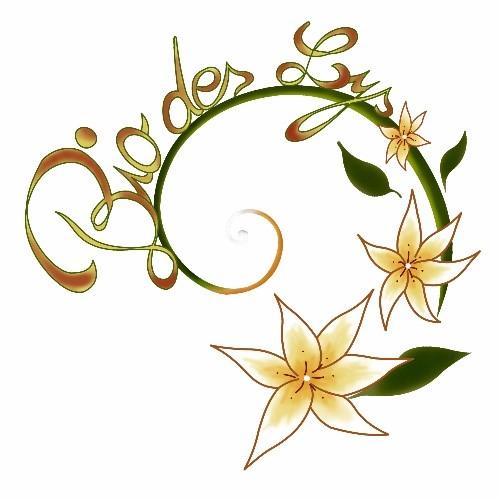 Logo de l'entreprise BIO DES LYS