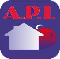 A.P.I