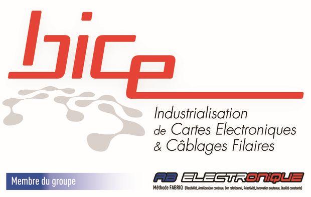 Logo de l'entreprise BICE