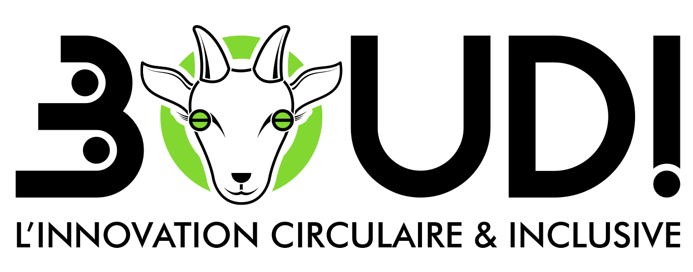 Logo de l'entreprise BOUDI