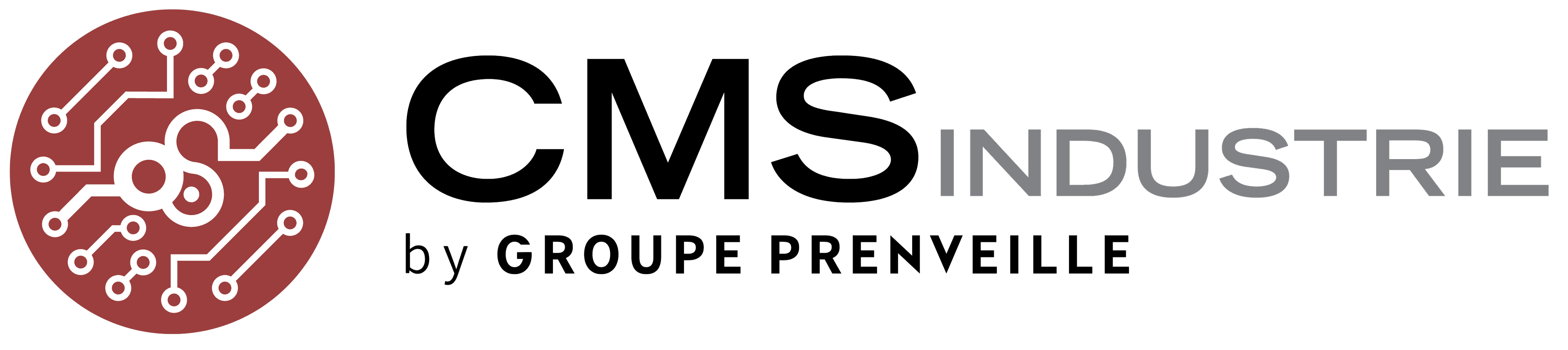 Logo de l'entreprise CMS INDUSTRIE
