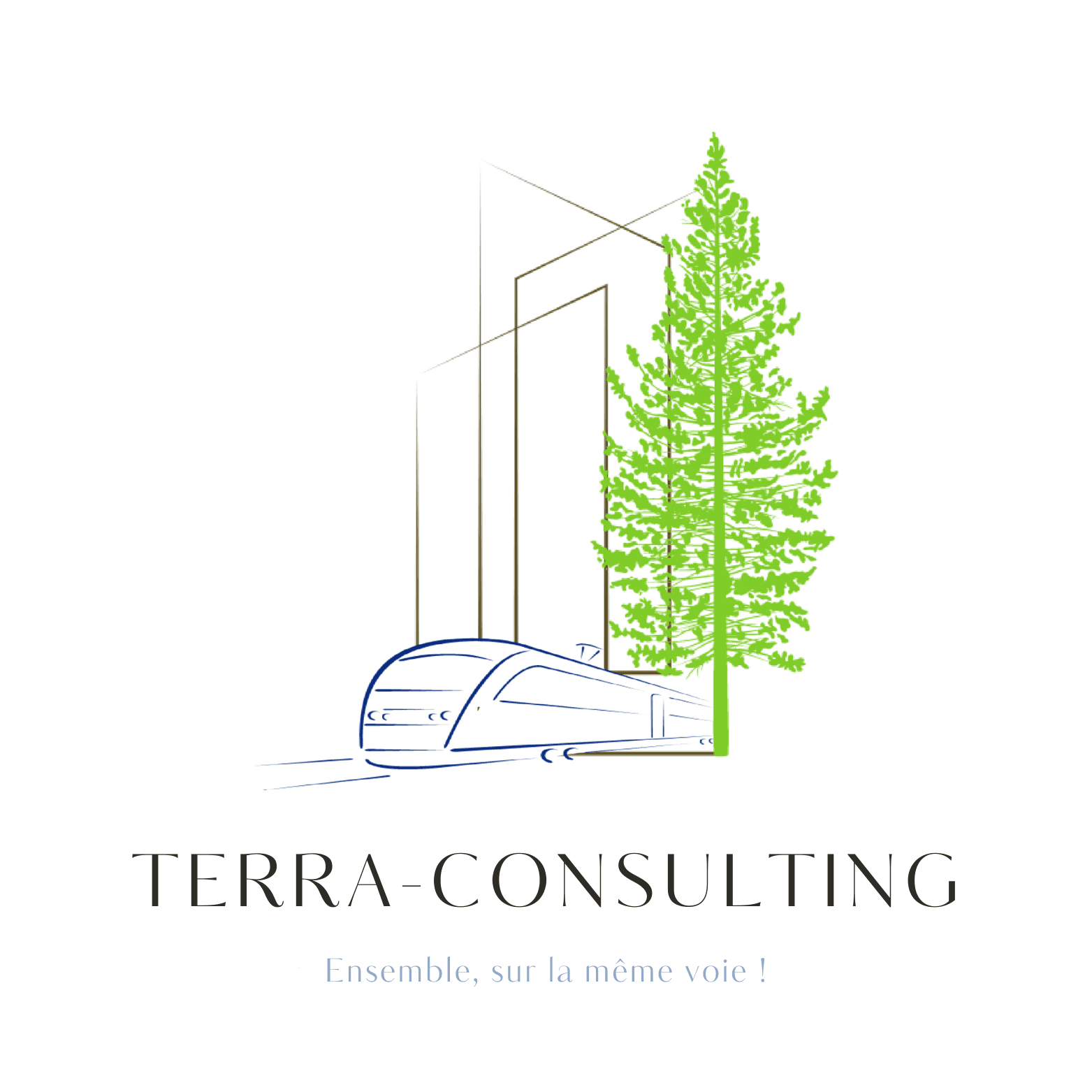 TERRA-CONSULTING