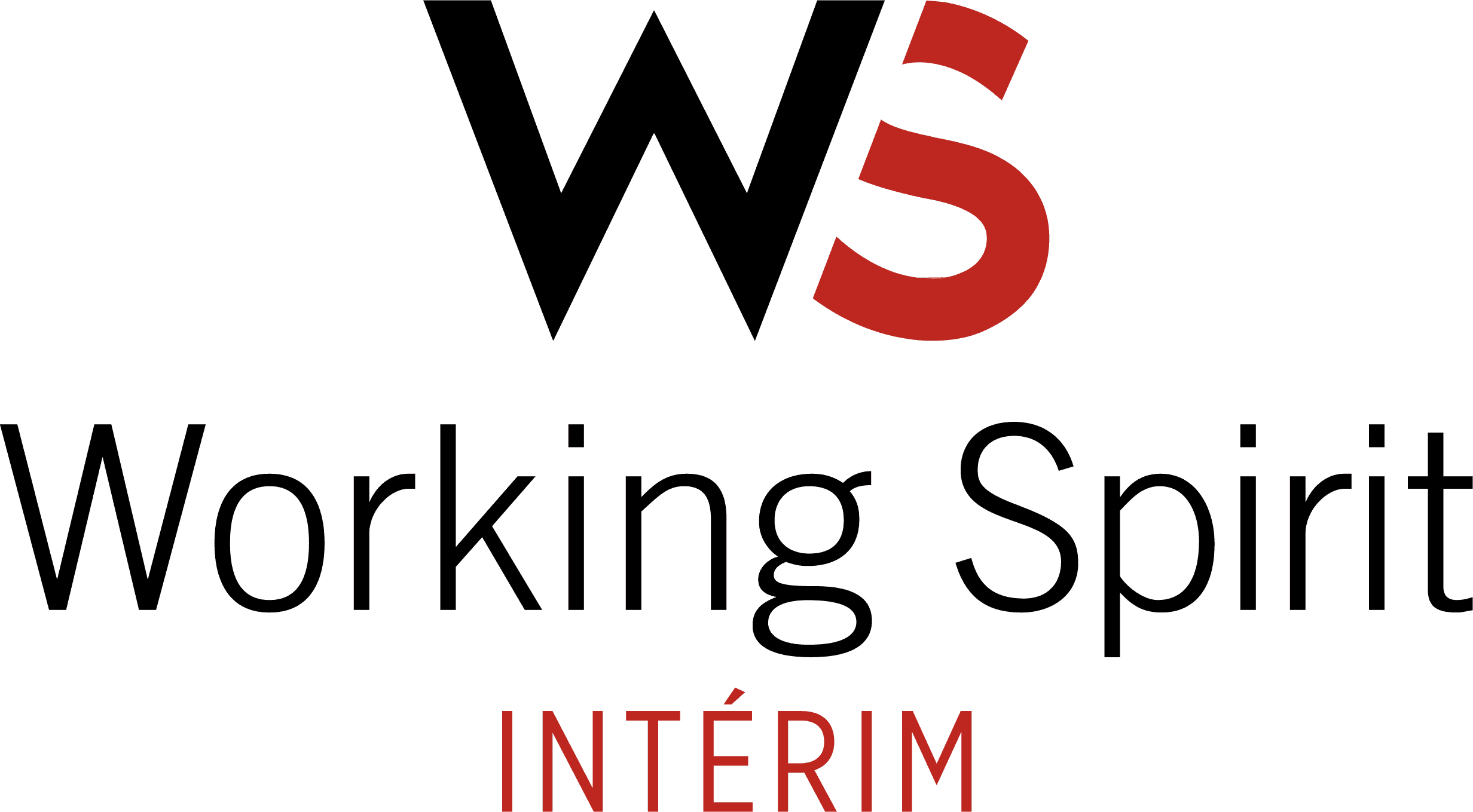Logo de l'entreprise WORKING SPIRIT