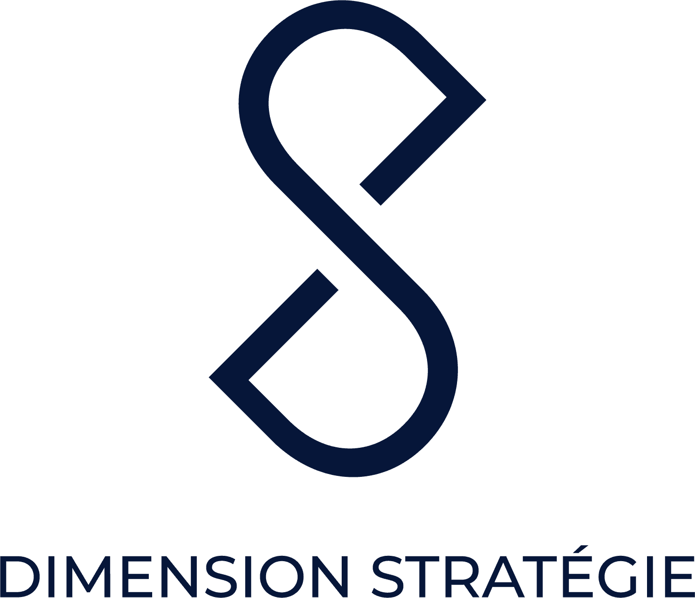 Logo de l'entreprise DIMENSION STRATEGIE