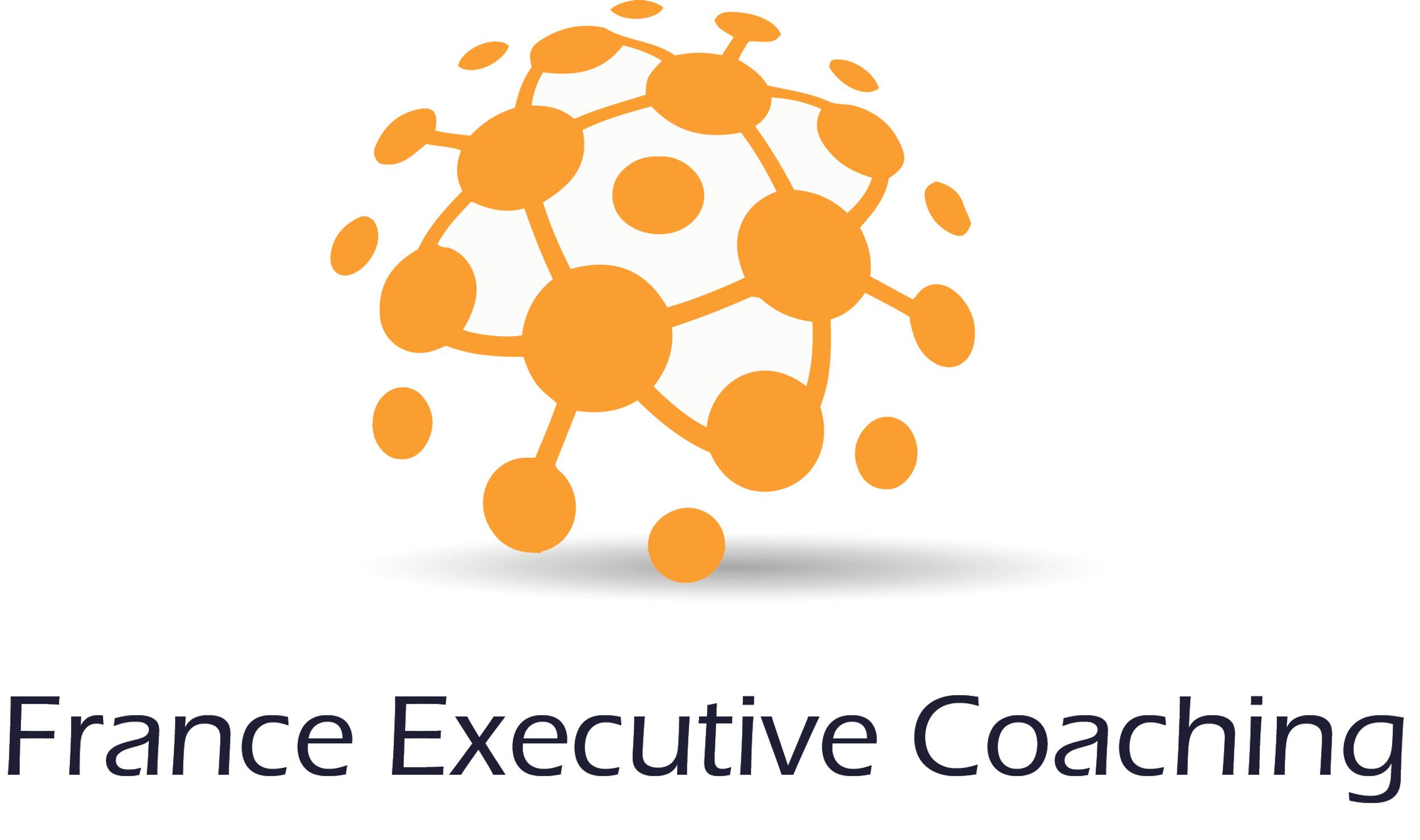 Logo de l'entreprise FRANCE EXECUTIVE COACHING