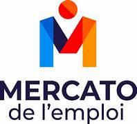 Logo de l'entreprise VBUISSON CONSEIL