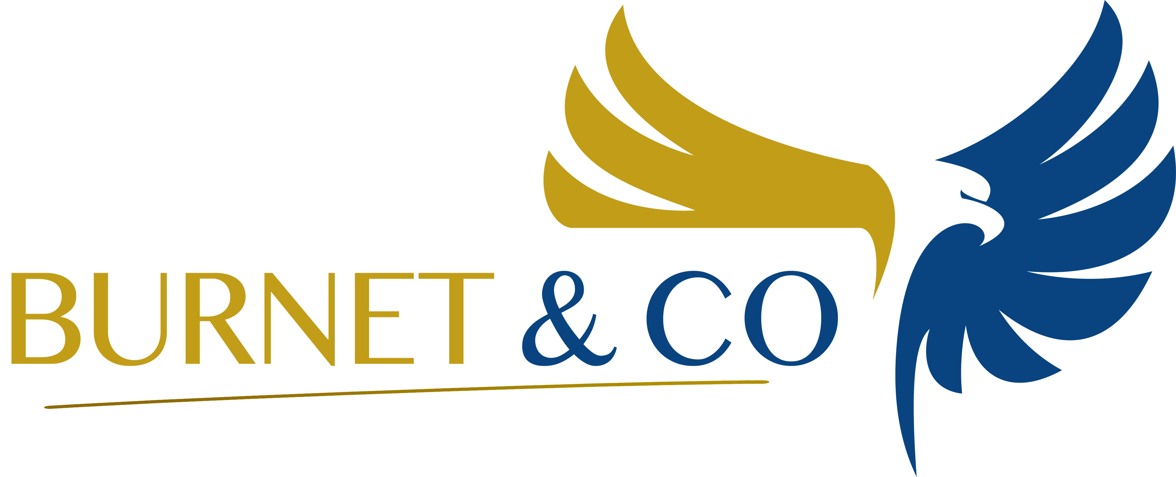 Logo de l'entreprise BURNET & CO