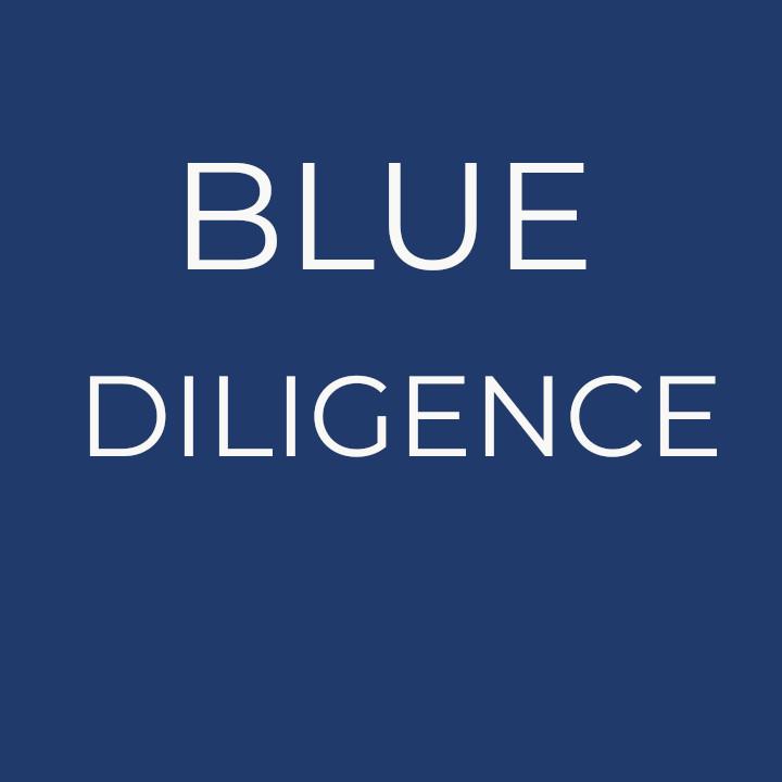 Logo de l'entreprise BLUE DILIGENCE - Intelligence économique