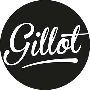 Logo de l'entreprise GILLOT SAS