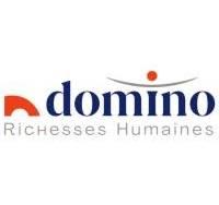 Logo de l'entreprise DOMINO MISSIONS AQUITAINE