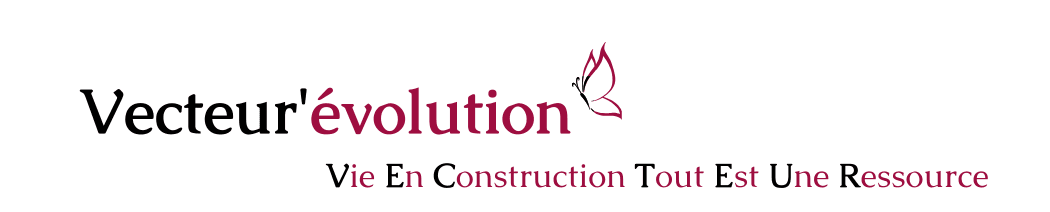 Logo de l'entreprise Vecteur'évolution