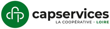 Logo de l'entreprise CAP SERVICES