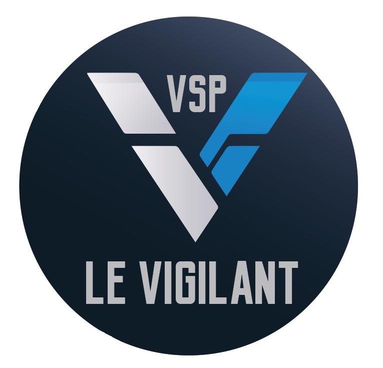LE VIGILANT SECURITE PRIVEE