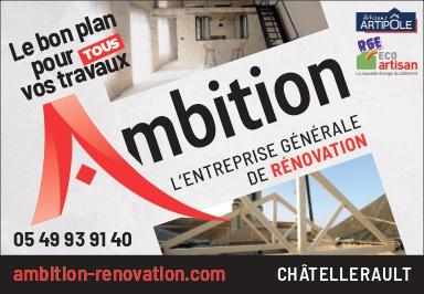 Logo de l'entreprise AMBITION