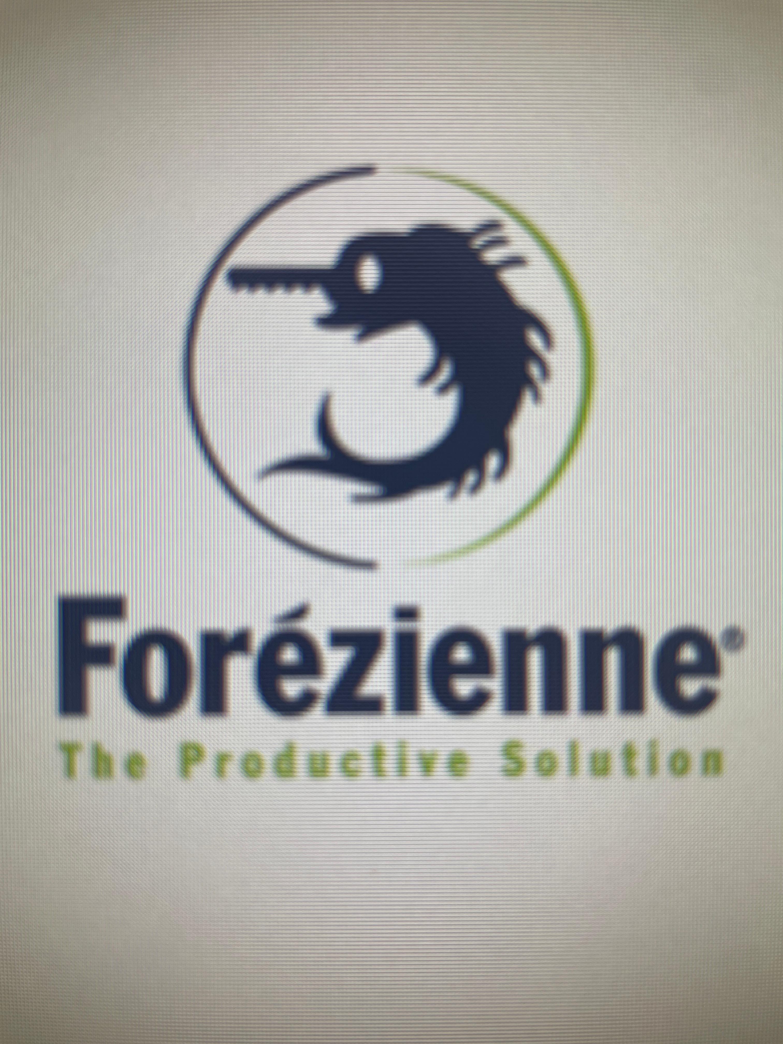 Logo de l'entreprise FOREZIENNE - M.F.L.S.