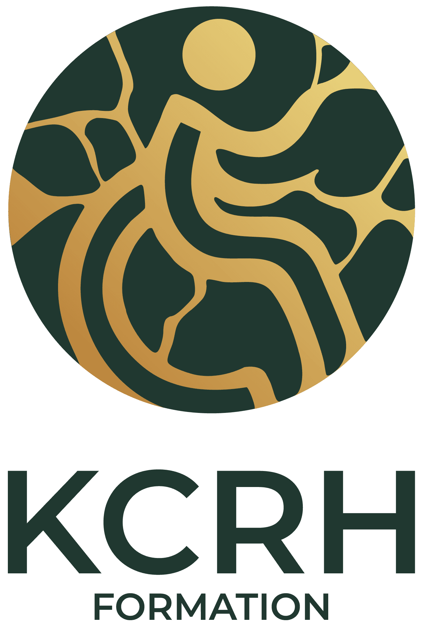 Logo de l'entreprise KCRH