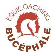 BUCEPHALE EQUICOACHING