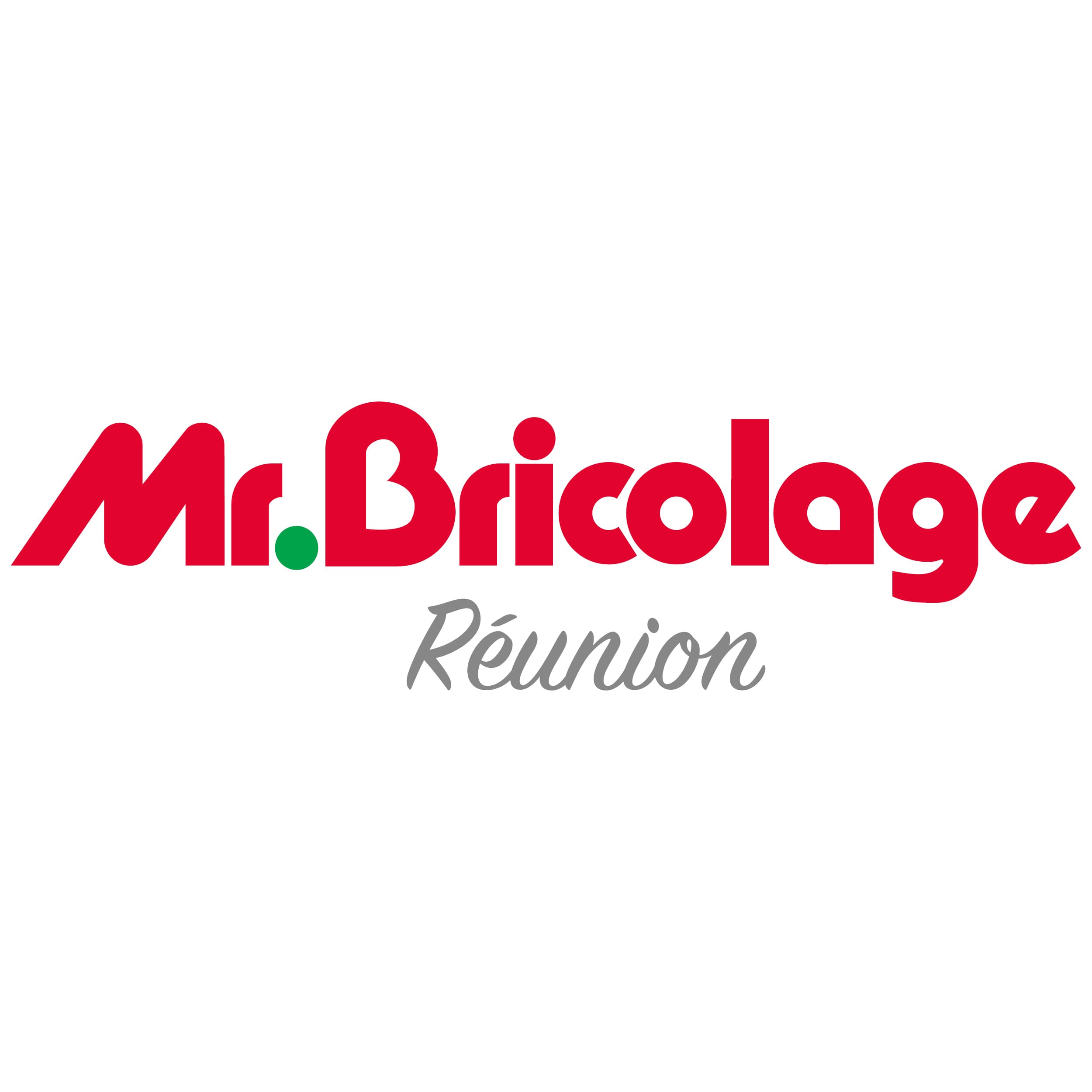 Logo de l'entreprise SOC REUNIONNAISE DE BRICOLAGE