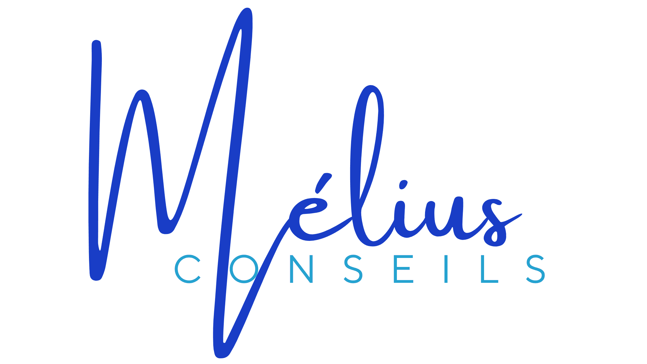 MELIUS CONSEILS