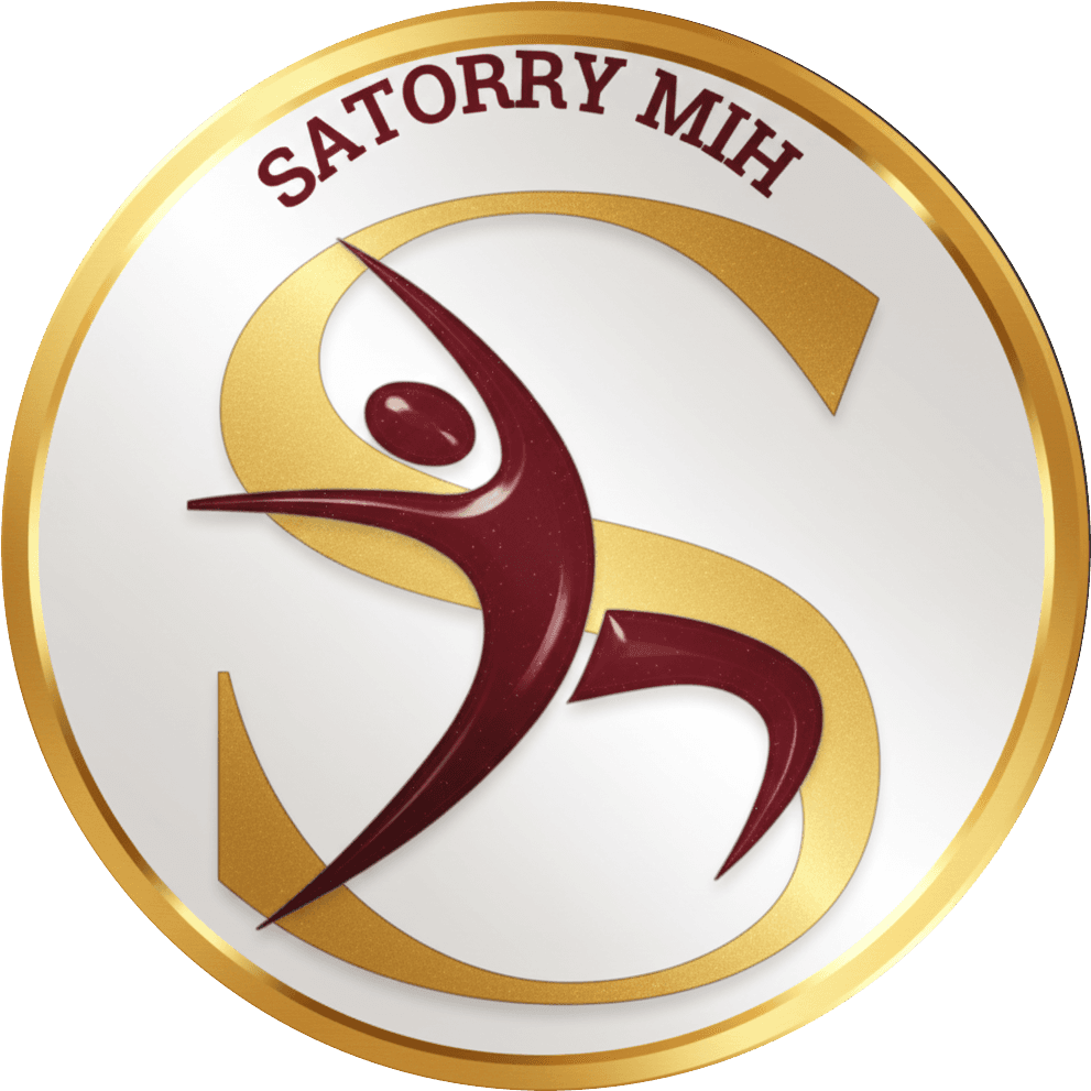 Logo de l'entreprise Satorry-MIH