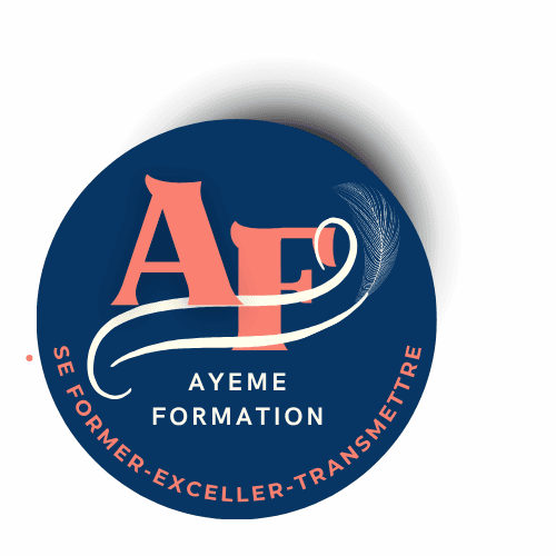 AYEME GROUPE STRATEGIE HOLDING