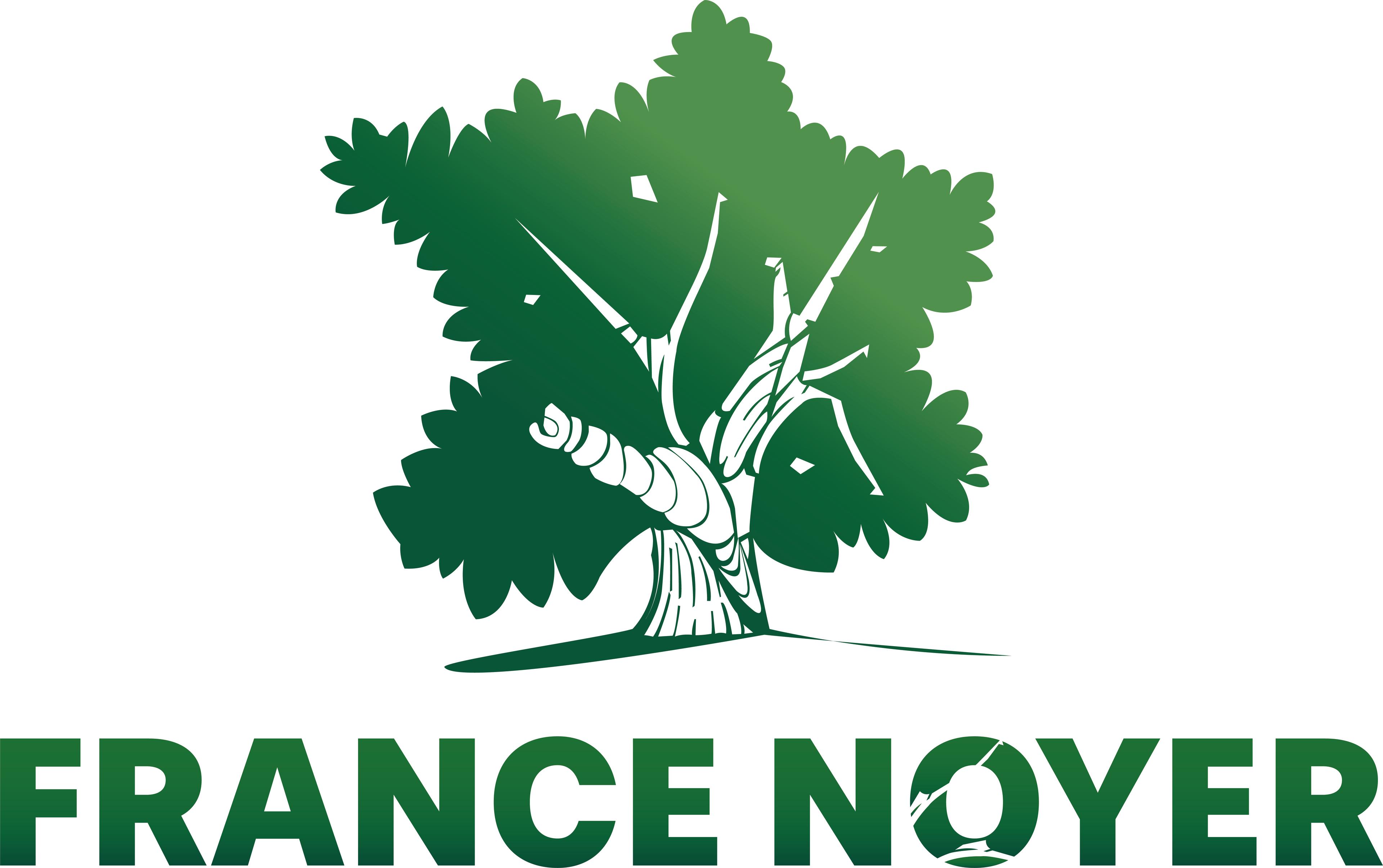 Logo de l'entreprise FRANCE NOYER SA