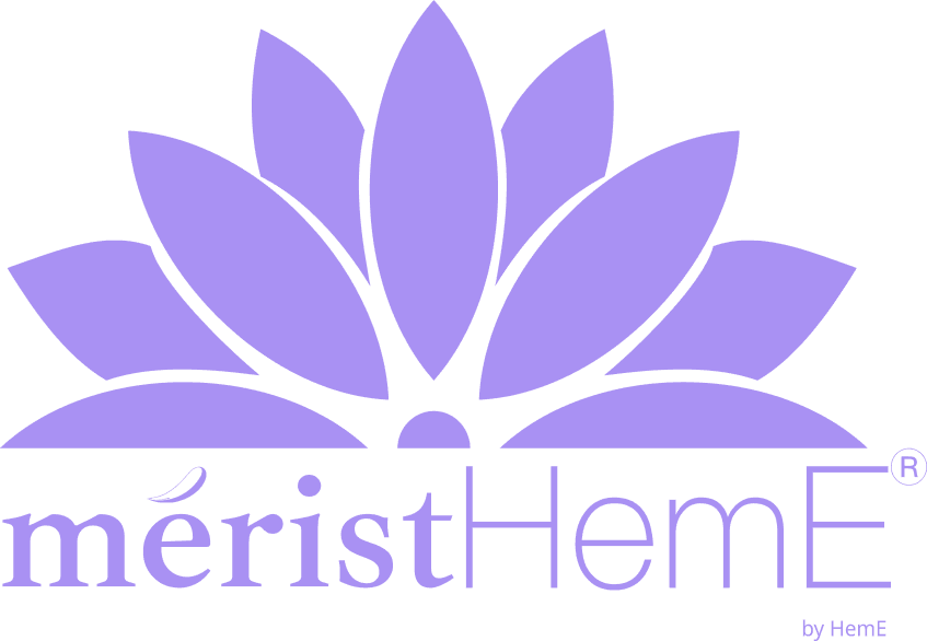 Logo de l'entreprise MERISTHEME FRANCE