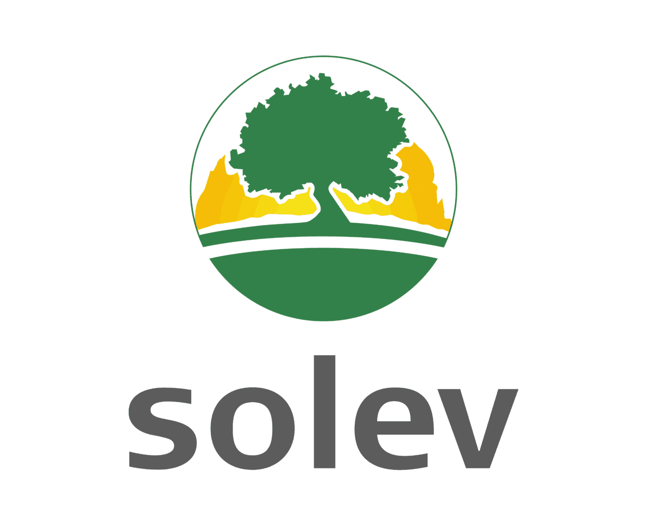 Logo de l'entreprise SOLEV