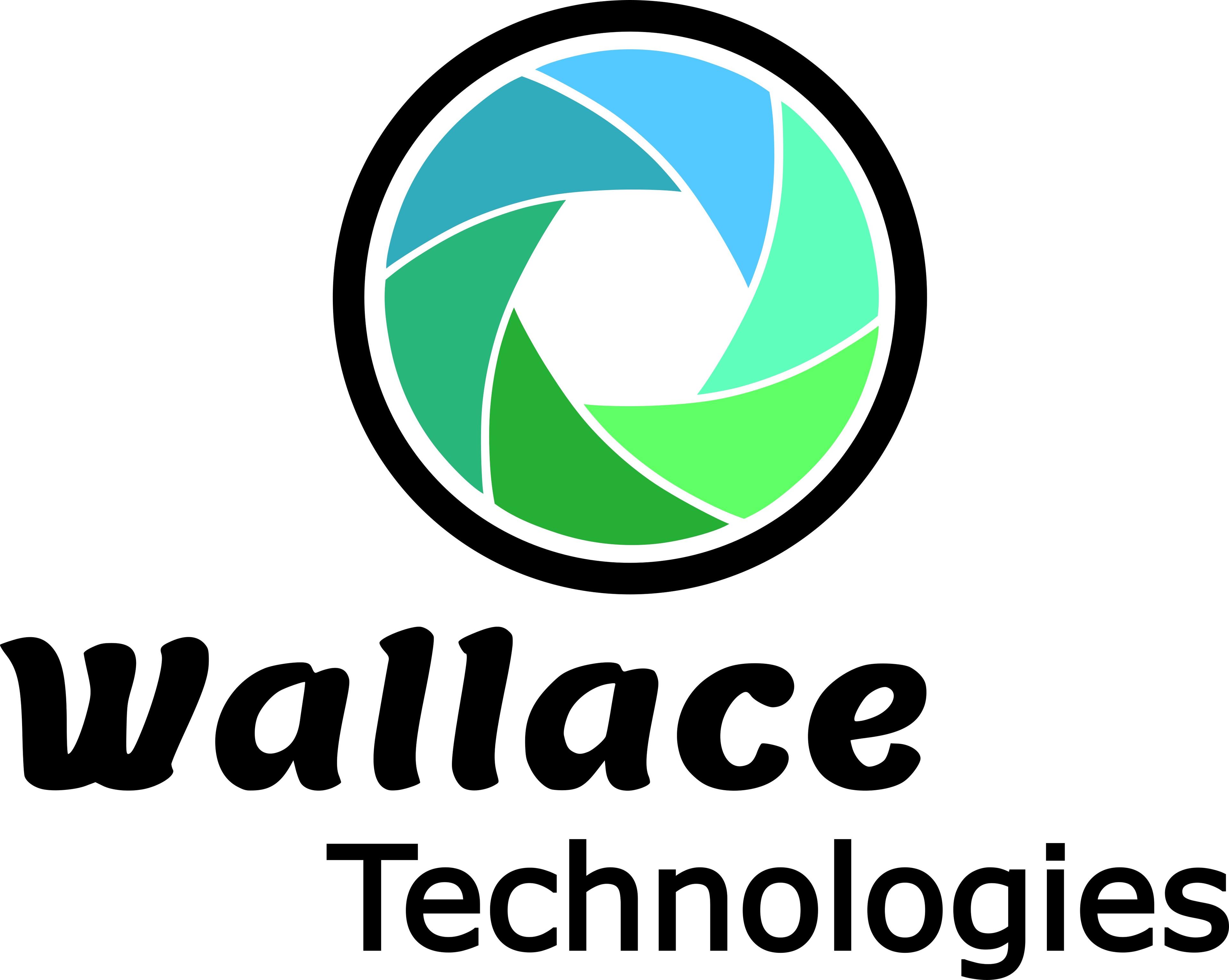 Logo de l'entreprise WALLACE TECHNOLOGIES