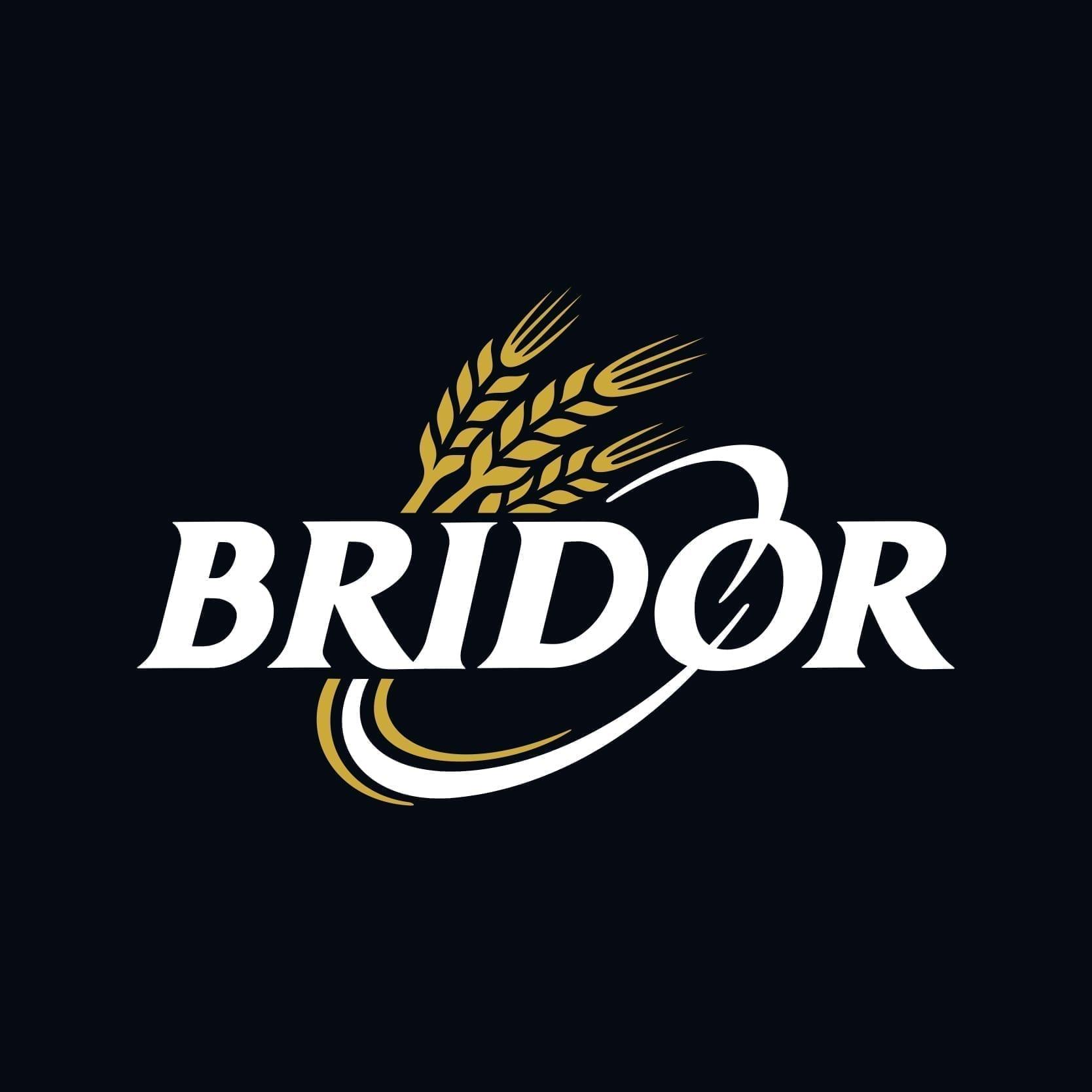 Logo de l'entreprise BRIDOR