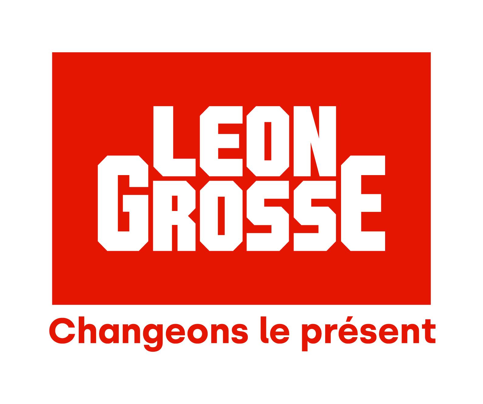 Logo de l'entreprise ENTREPRISE GENERALE LEON GROSSE