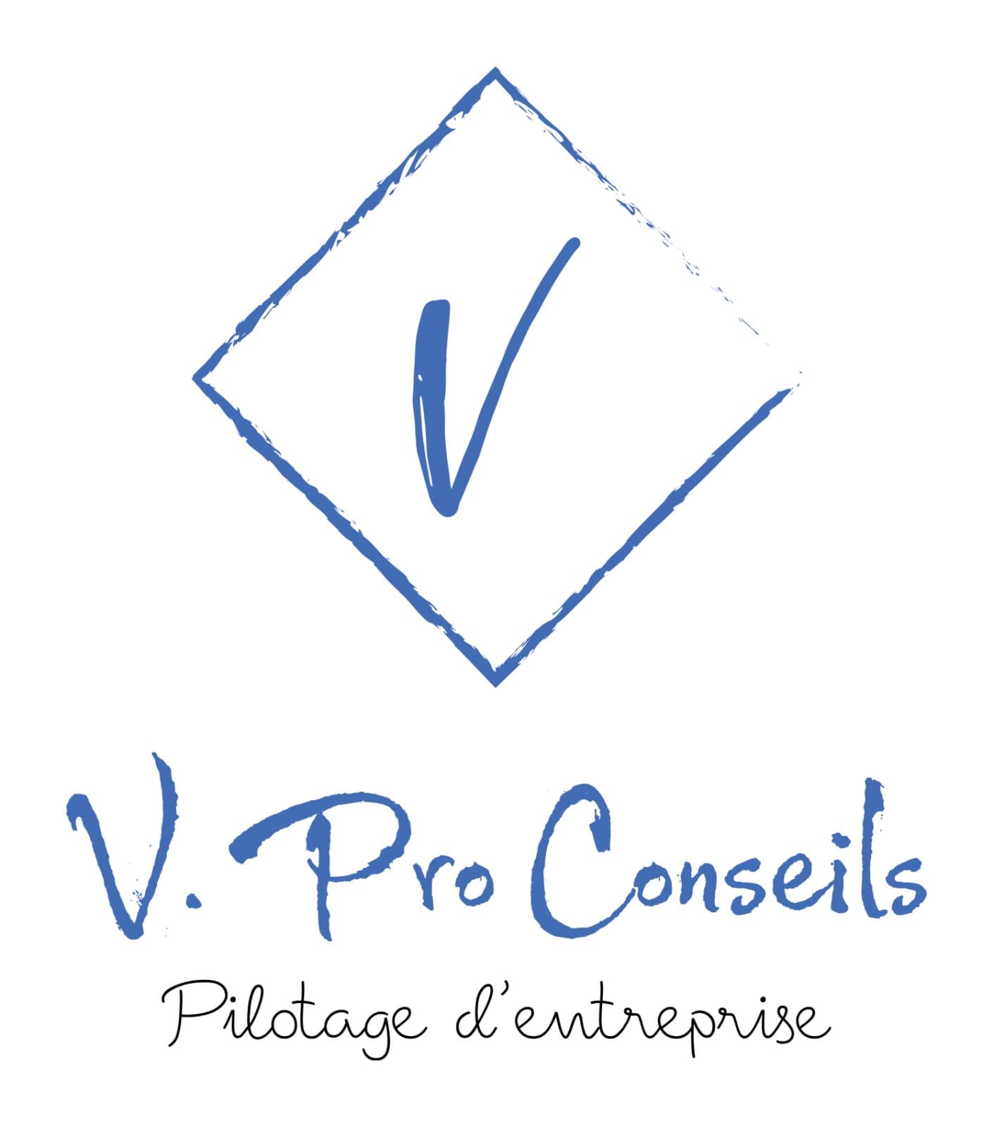V. PRO CONSEILS