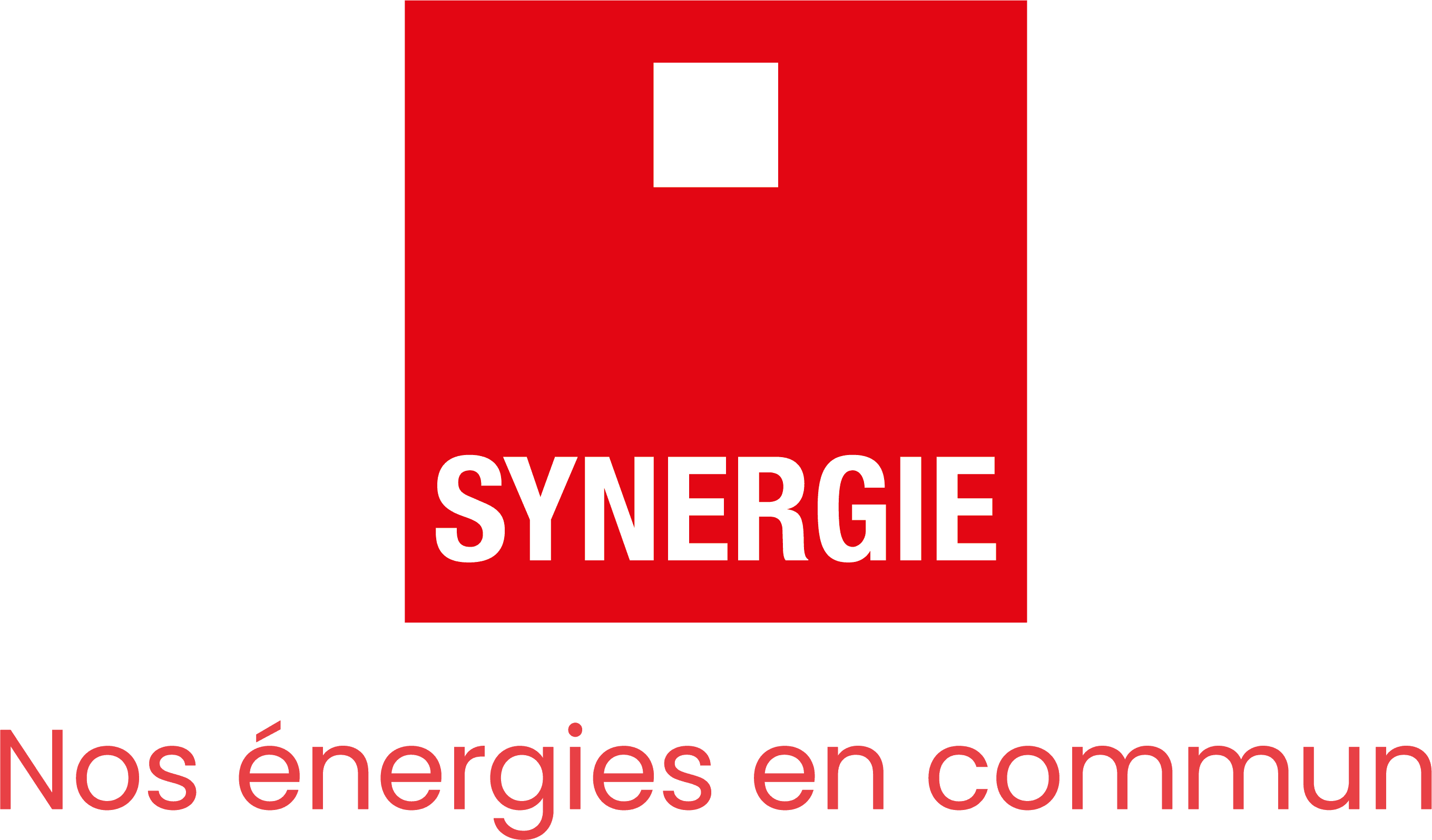 SYNERGIE PAU