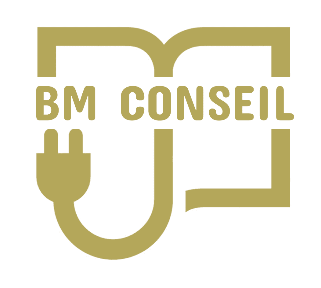 Logo de l'entreprise BM CONSEIL