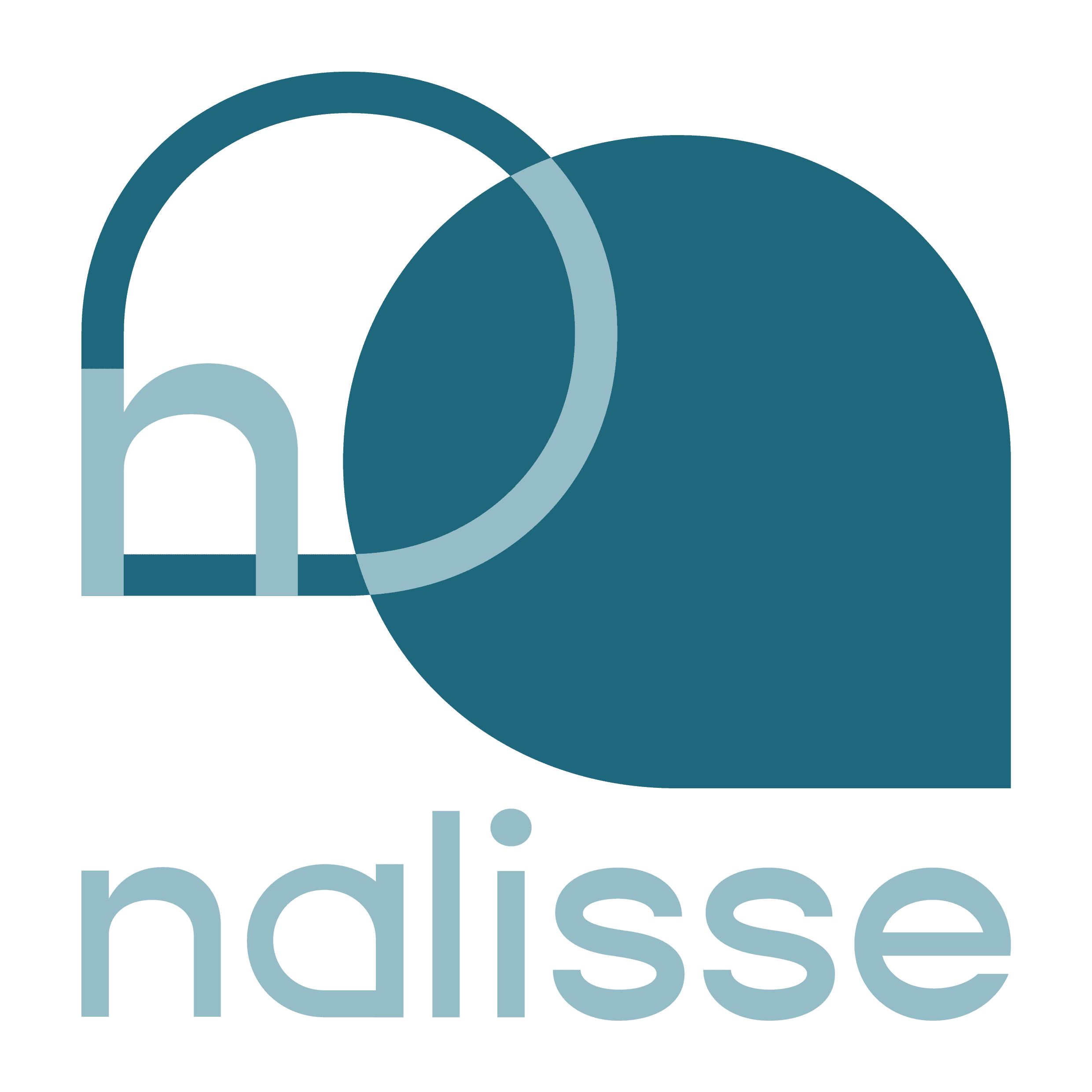 Logo de l'entreprise NALISSE