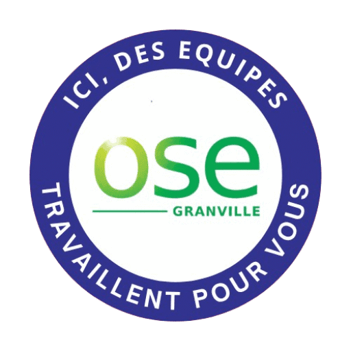 Logo de l'entreprise OBJECTIF SOLIDARITE EMPLOI ENVIRONNEMENT