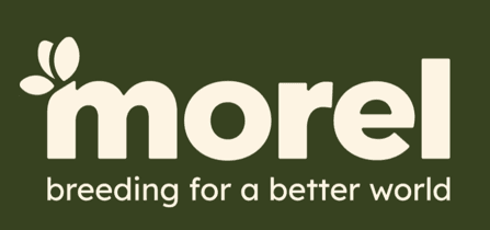 Logo de l'entreprise MOREL DIFFUSION
