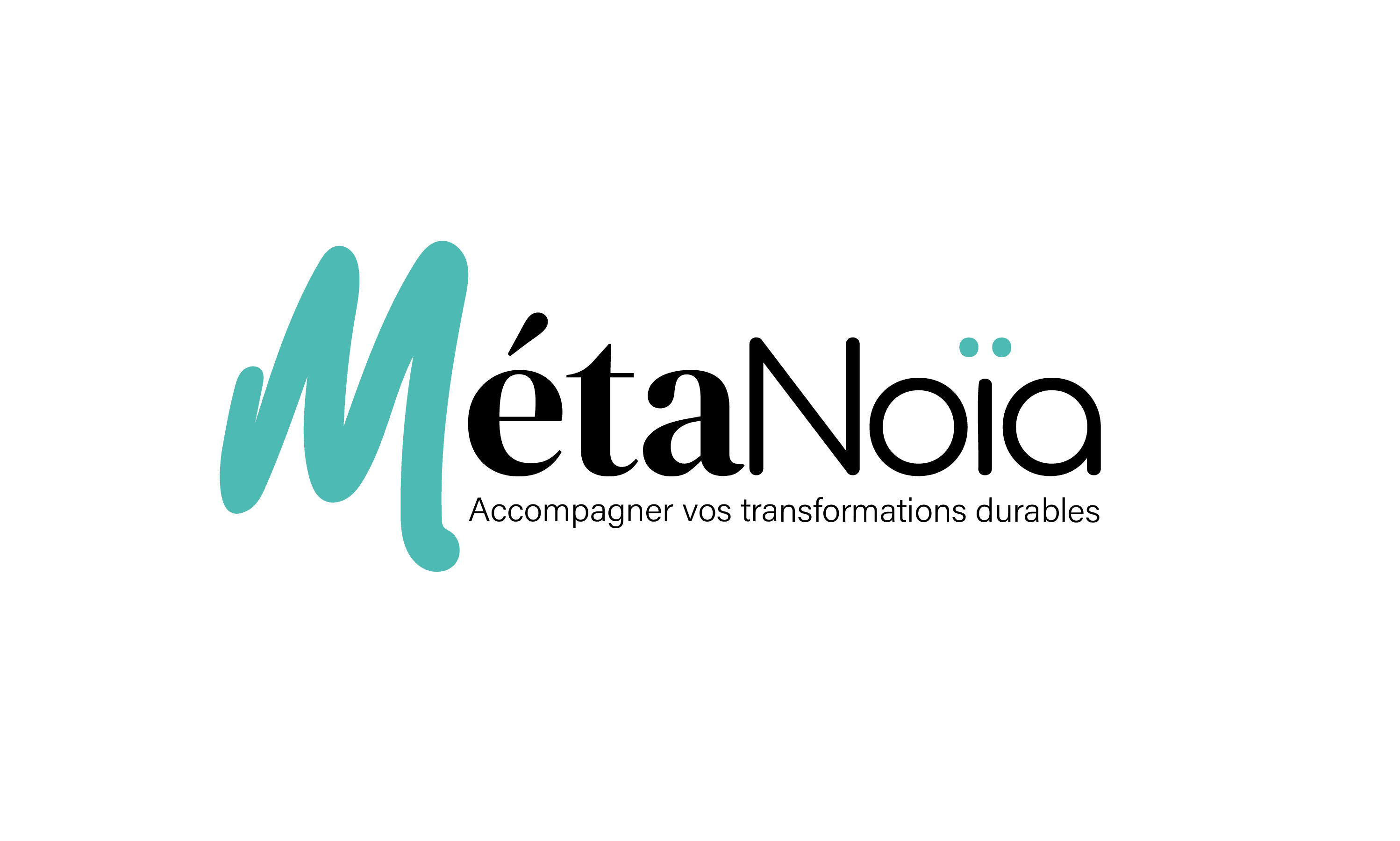 Logo de l'entreprise METANOIA