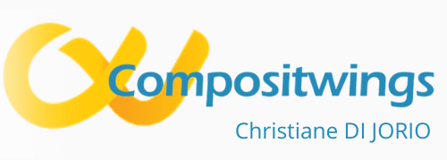 COMPOSIT WINGS