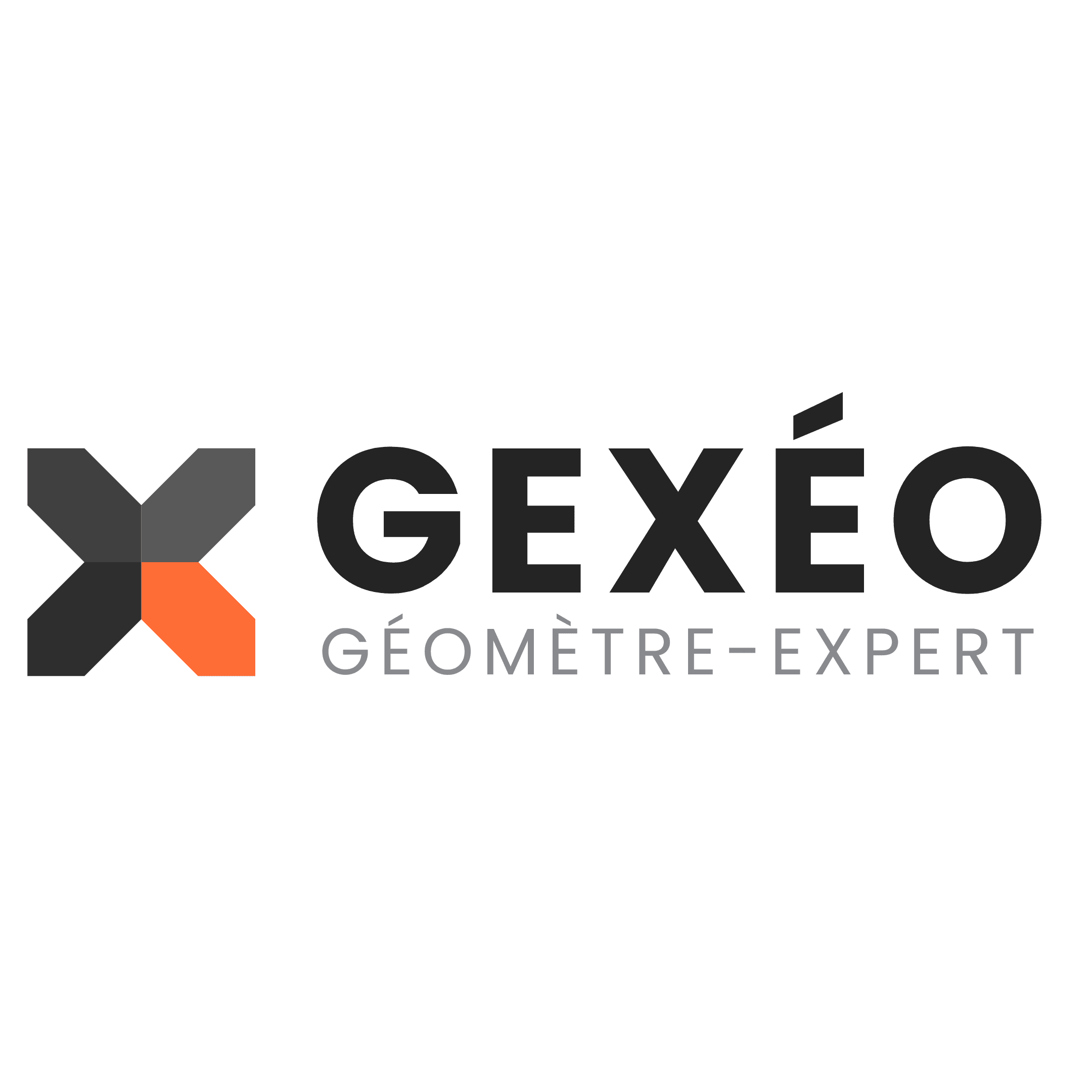 Logo de l'entreprise GEXEO