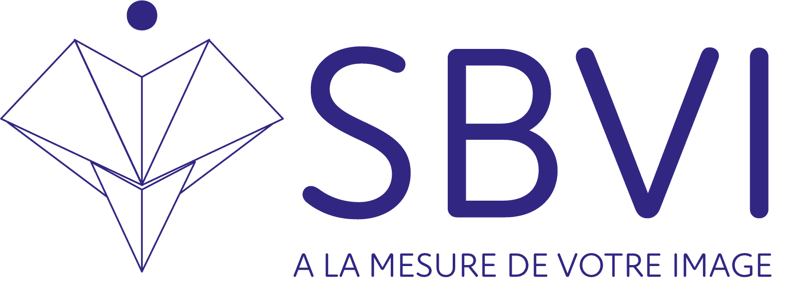 Logo de l'entreprise S.B.V.I.