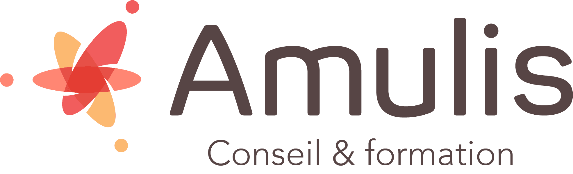 Logo de l'entreprise AMULIS