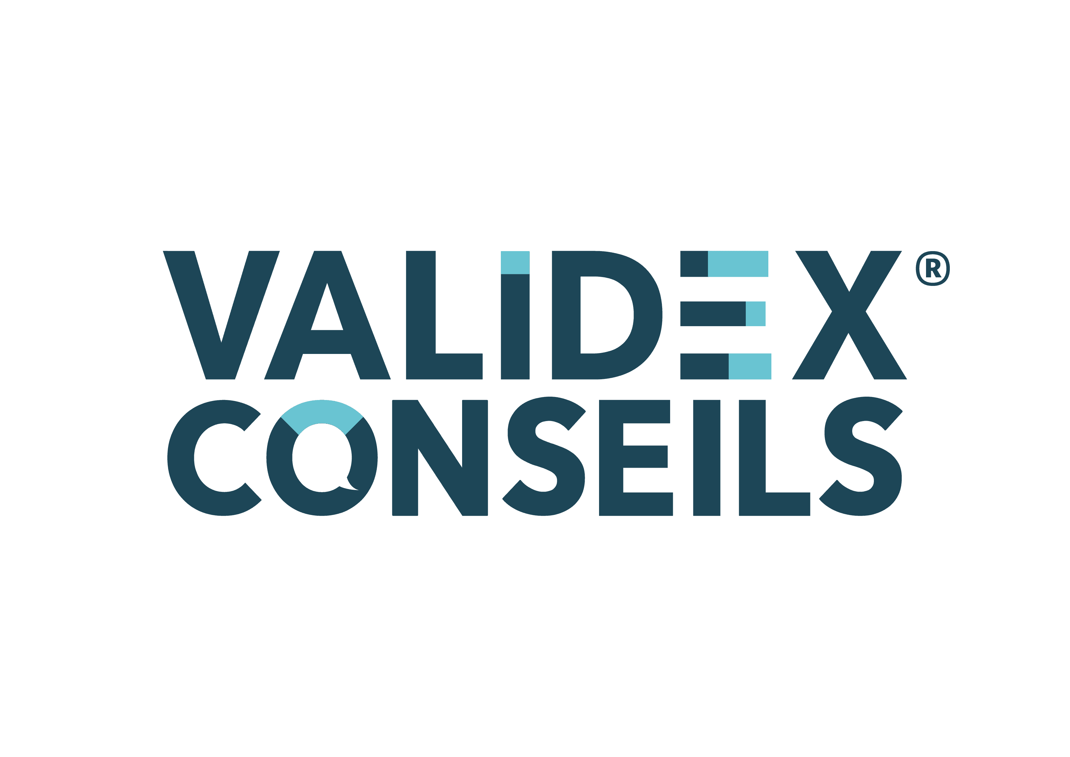 Logo de l'entreprise BRUEL VALIDEX